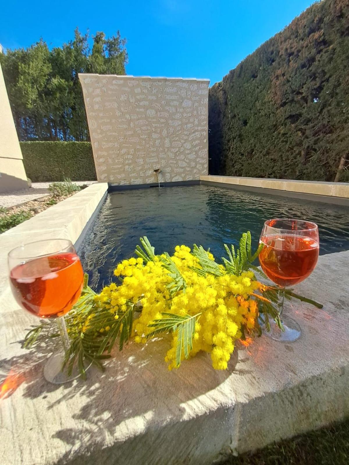 La Maison De Manon, 4-5Personnes, 75M2, Centre Village Avec Piscine Privee 毛萨纳-莱斯-阿尔皮勒 外观 照片