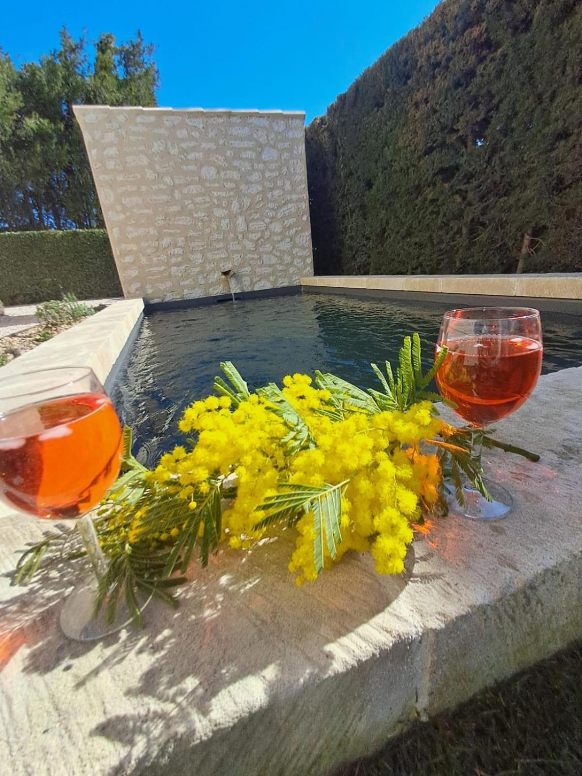 La Maison De Manon, 4-5Personnes, 75M2, Centre Village Avec Piscine Privee 毛萨纳-莱斯-阿尔皮勒 外观 照片