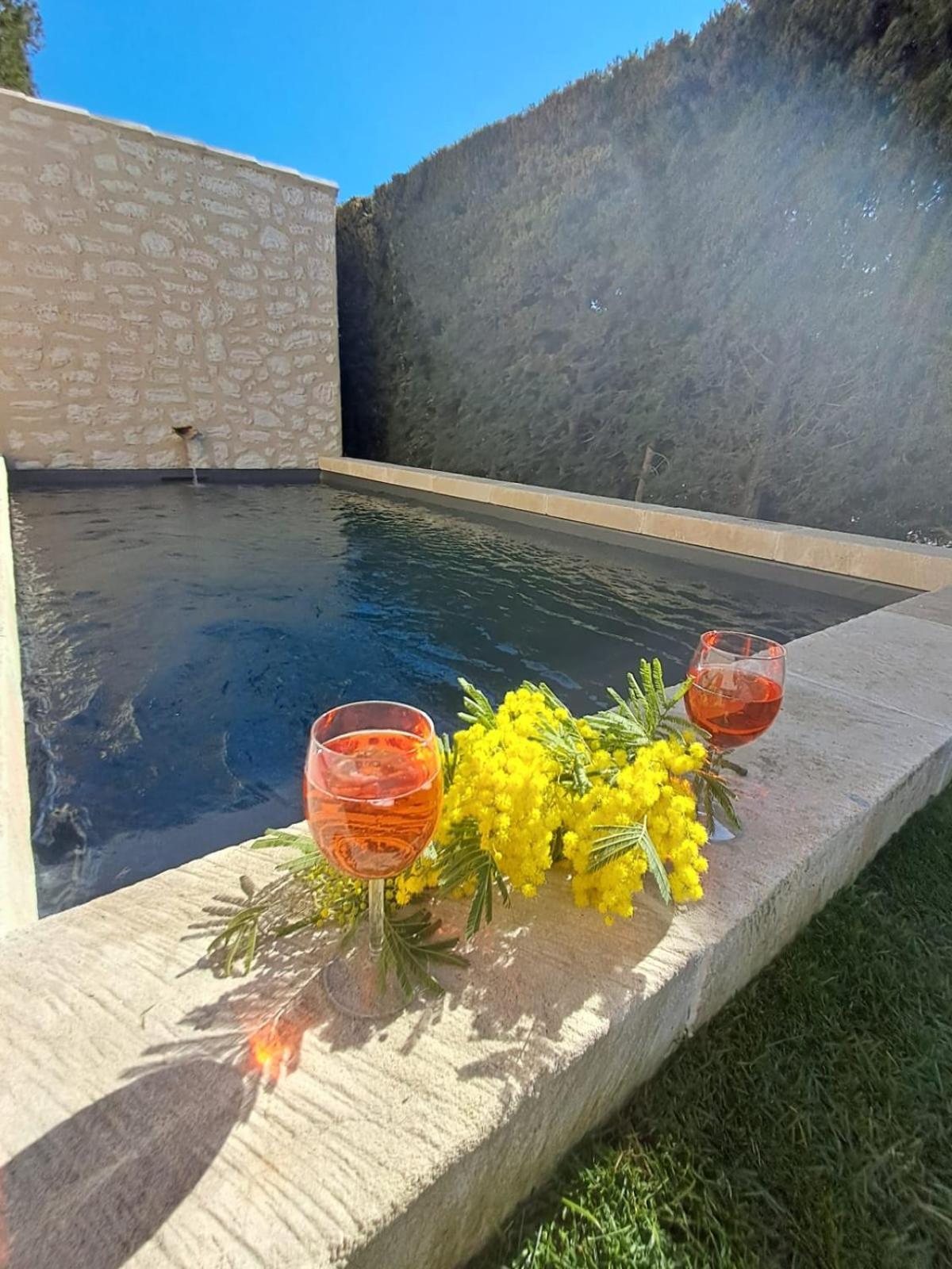 La Maison De Manon, 4-5Personnes, 75M2, Centre Village Avec Piscine Privee 毛萨纳-莱斯-阿尔皮勒 外观 照片